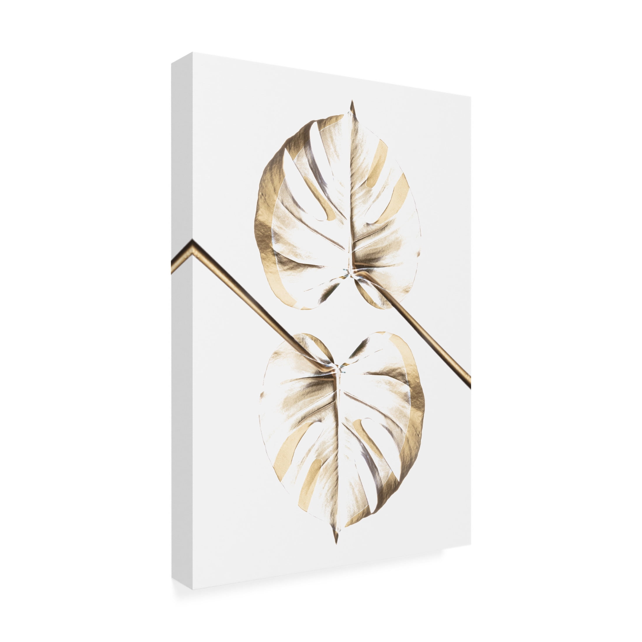 Trademark Fine Art Pictufy Studio Monstera Gold 10 Canvas Wall Art