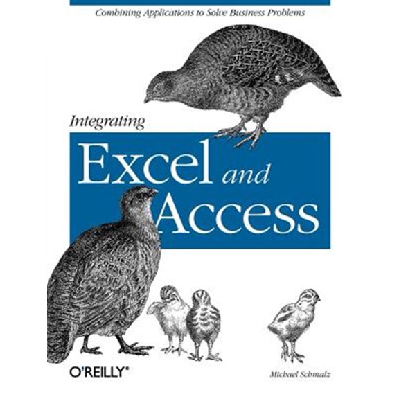 Pre-Owned Integrating Excel and Access: Combining Applications to Solve Business Problems Paperback