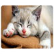 thumbnail image 2 of Alfombrilla para mouse con diseño de gatos - 9 modelos adorables, antideslizante para PC y MacBook (18x22 cm) - Suave y cómoda para gaming y trabajo, 2 of 6