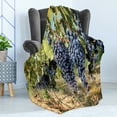 thumbnail image 4 of Grape Soft Flannel Fleece Blanket, Rows of Wine Fruits in Tuscany Italy Organic Natural Harvest Countryside, Cozy Plush for Indoor and Outdoor Use, 60" x 80", Avocado Green Ceil Blue, by Ambesonne, 4 of 5