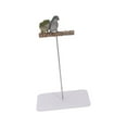 thumbnail image 2 of Serenable Bird Perch Stand Parrot Playground Sturdy,Portable,Training Toy,Bird Play Stand Bird Play Gym Playpen for Cockatoo Cockatiels S, 2 of 10