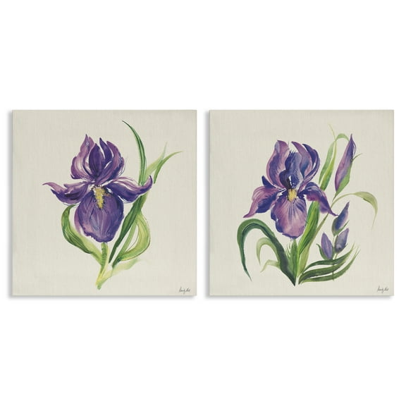 Stupell Industries Purple Iris in Bloom Plants & Flowers Painting Wrapped Canvas Art Print Wall Art, 17 x 17, Set of 2