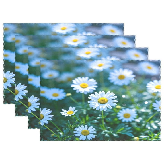 Ryvnso Placemats Set of 4 Summer Daisy Flower-a2 Dining Mats Heat-Resistant Non-Slip Washable Table Mat