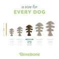 thumbnail image 4 of Benebone Fishbone Durable Dog Chew Toy for Aggressive Chewers, Real Fish, Medium, 4 of 6