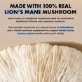 thumbnail image 6 of Healthy Day Supplements Lion’s Mane Mushroom Capsules 120 Count | Organic Lion’s Mane Extract | Gluten Free | Brain Health & Cognitive Support for Adults | Made in USA, 6 of 6