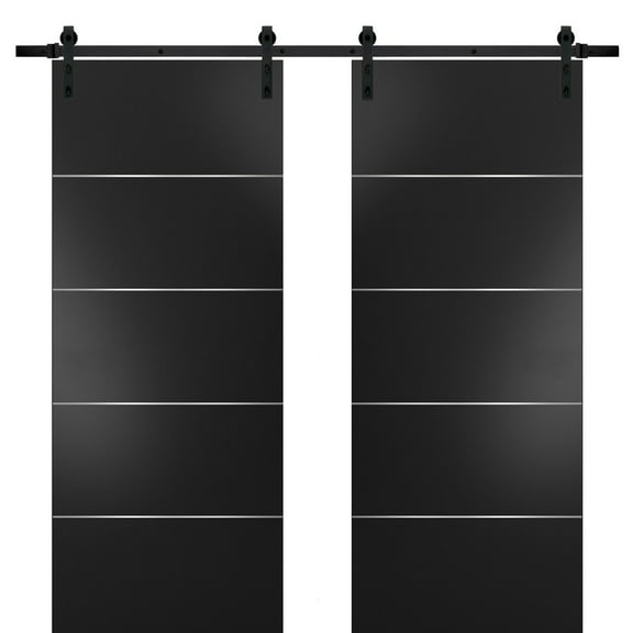 Sturdy Double Barn Door with | Planum 0020 Matte Black | 13FT Rail Hangers Heavy Set | Solid Panel Interior Doors-36" x 96" (2* 18x96)-Black Rail