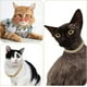 thumbnail image 5 of P Collares Personalizados Para Perros Y Gatos, Cadena, 5 of 8