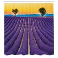 thumbnail image 2 of Ambesonne Lavender Color Shower Curtain, Fields Agricultural, 69"Wx84"L, Blue Violet Mustard, 2 of 4