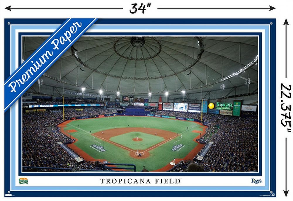 MLB Tampa Bay Rays - Tropicana Field 22 Wall Poster with Pushpins, 22.375" x 34"