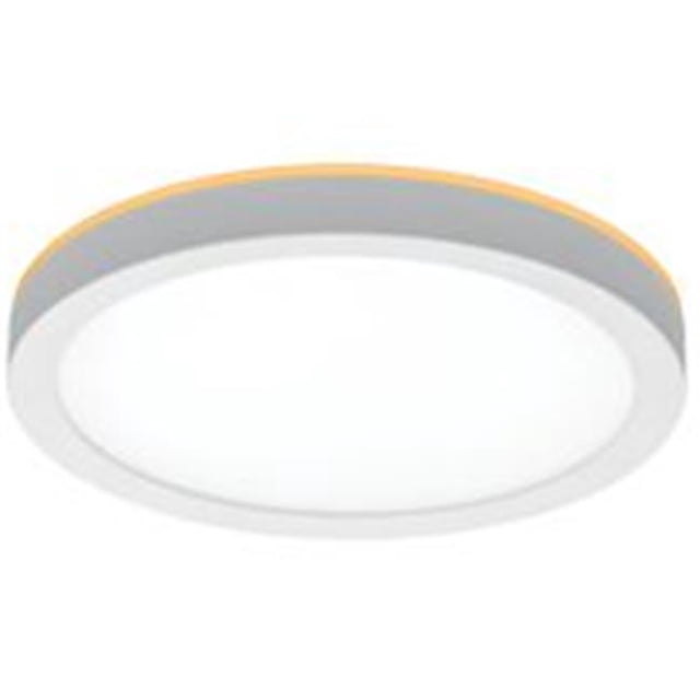 Eti Solid State Lighting 5347216 Plafonnier 2000K & 44; Blanc - 7,5 Po