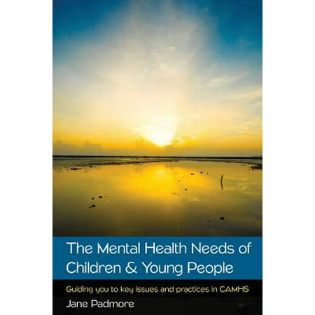 The Mental Health Needs of Children & Young People : Guiding You to Key Issues and Practices in