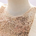 thumbnail image 6 of LOVEBAY 3-11T Girls Sequin Mesh Tull Dress Ball Gown Dresses For Girls Special Occasion Dresses Wedding Flower Girl Pageant Gown Party Dress, 6 of 9