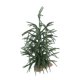 thumbnail image 5 of Mesa De PET Artificial De Mini árbol De Pino De Navidad Verde, 5 of 7