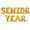 Gold, variant on Letter Balloons - SENIOR YEAR 16" Inch Alphabet Letters Foil Mylar Balloon Senior Night Party Banner (Gold)