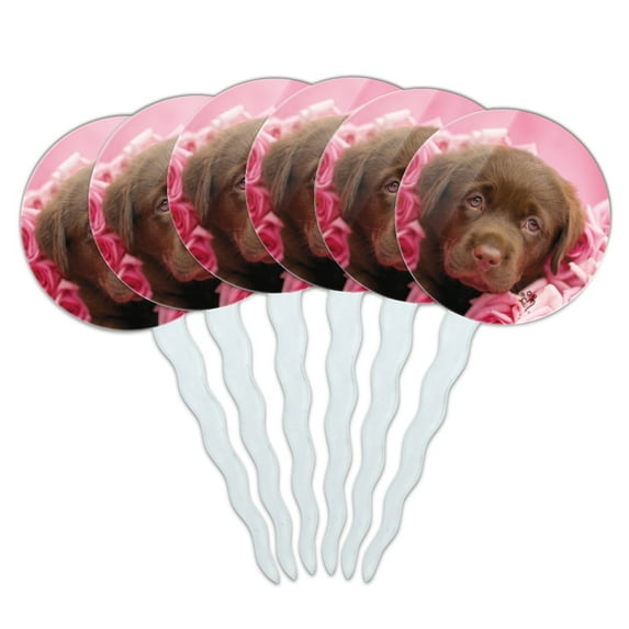 Chocolate Labrador Retriever Puppy Dog Pink Roses Cupcake Picks Toppers Decoration Set of 6