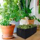thumbnail image 5 of OUNONA 2Ud Bolsa De Plantación Para Patatas Reutilizable Con Asa Para Jardín Y, 5 of 5