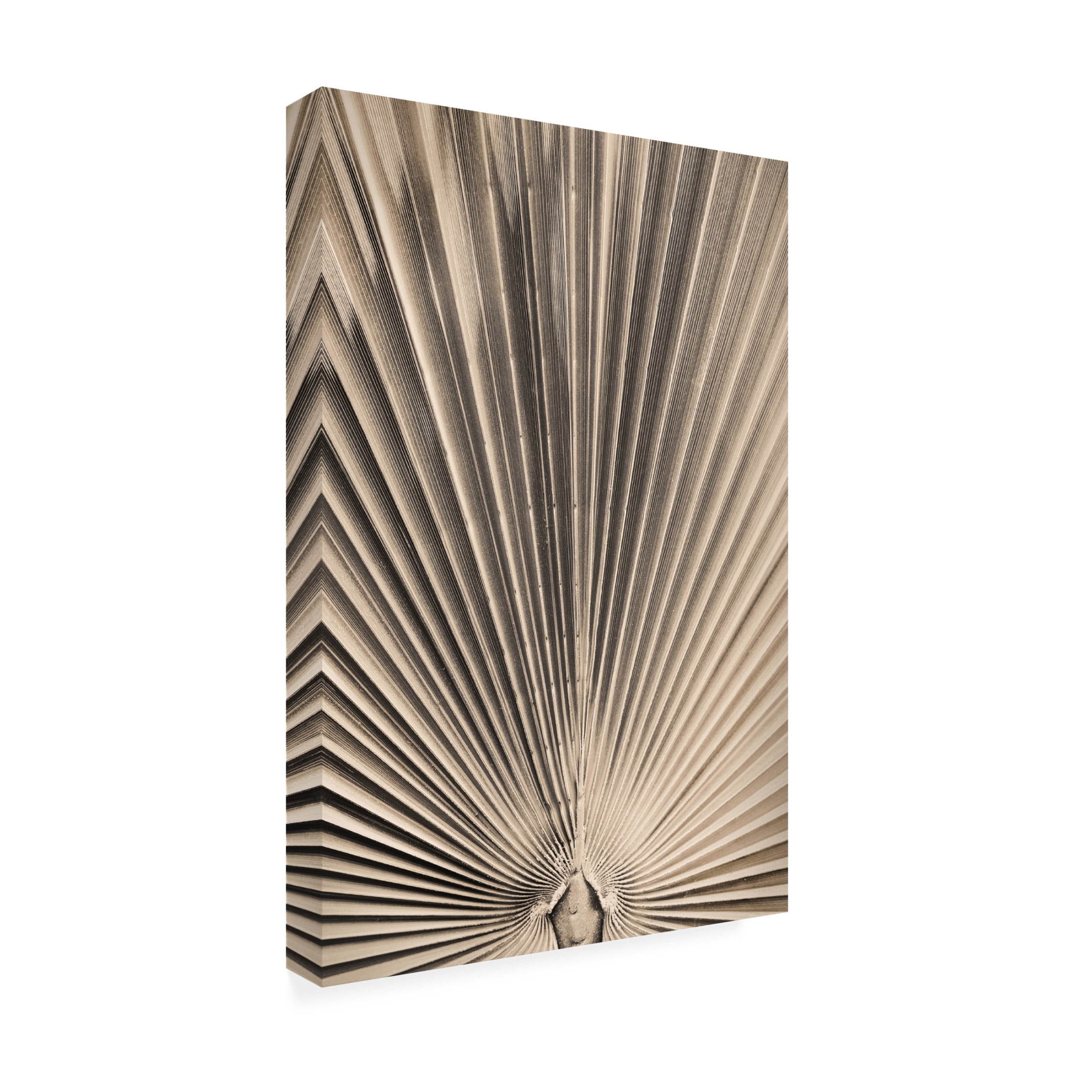 Trademark Fine Art Pictufy Studio III Solaris 07 Canvas Wall Art