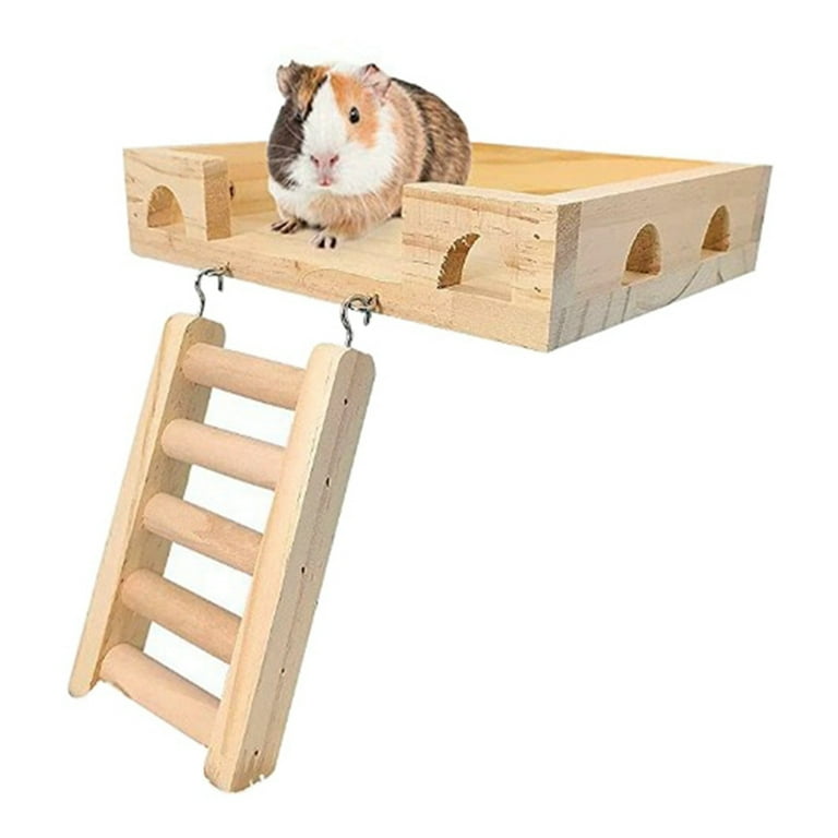 Hamster accessories walmart cheap