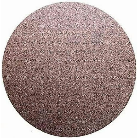 Benchmark Abrasives 12" Premium Aluminum Oxide No Hole PSA Discs, Self Adhesive Random Orbital Sander Discs for Sanding Polishing on Metal Wood Fiberglass (10 Pack) - 60 Grit