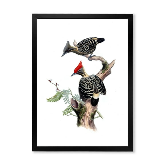 Designart 'Ancient Birds In The Wild VI' Traditional Framed Art Print
