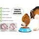 thumbnail image 2 of Comedero y bebedero de acero inoxidable para perros, antideslizante y apilable, para cachorros de perros grandes, medianos y pequeños (juego de 2, azul)., 2 of 2