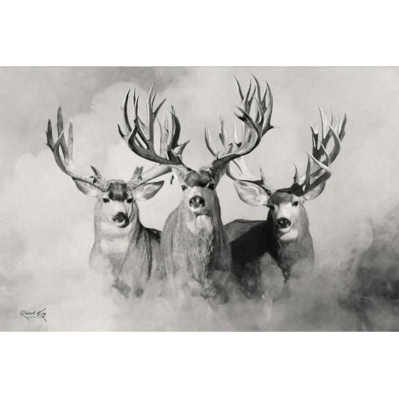 The Wild Bunch Light Mule Deer Print by Robert King, Mule Deer Trophy Bucks, Giant Bucks, Buck Print, Deer Poster, Racks, Cabin Woodland