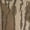 Mossy Oak Bottomland, variant on Performance Fleece Hoodie Mossy Oak Bottomland LARGE