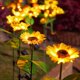 thumbnail image 3 of Lámpara solar de girasol para jardín, exterior, impermeable, decorativa, para jardín, patio, camino y decoración navideña., 3 of 5