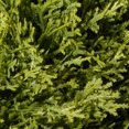thumbnail image 4 of National Tree Artificial Upright Juniper-Size:48", 4 of 4