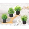 thumbnail image 4 of Fake Plants 4 Packs Artificial Plants Small Faux Plants Black Bathroom Accessories for Halloween Bathroom Home Kitchen Coffee Table Office Desk Decor Indoor, 4 of 6