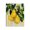 Golden Pears on Branch, variant on Stupell Industries Lemons on Striped Tablecloth Black Framed Print Under Glass, design by Yen