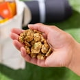 thumbnail image 3 of Bear Naked Honey Oat Crunchy Granola Bites, 6.2 oz Bag, 3 of 10