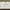 Green, variant on Madison Park Floral Embroidered 1-Piece 50x18 Rod Pocket Pleated Valance , Navy