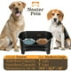 thumbnail image 2 of Comedero para perros Neater Pet Neater Feeder Express con 2 cuencos de 1,6 L, 2 of 6