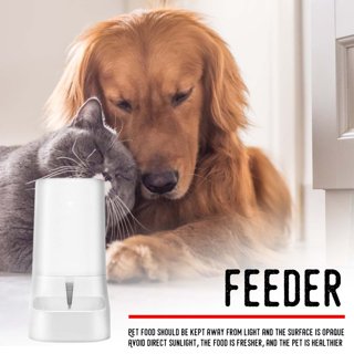 Outdoor Automatic Dog Feeder and Waterer – OfficialDogHouse