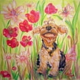 thumbnail image 2 of Dillon, Carol 12x12 White Modern Wood Framed Museum Art Print Titled - Playful Pup X, 2 of 4