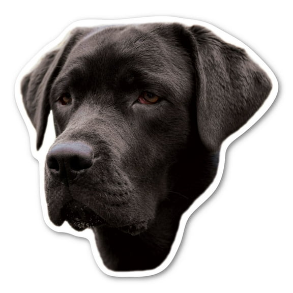 (Black) Labrador Retriever Dog Magnet