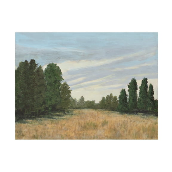 Trademark Fine Art Michael Willett Countryside Clearing II Canvas Wall Art