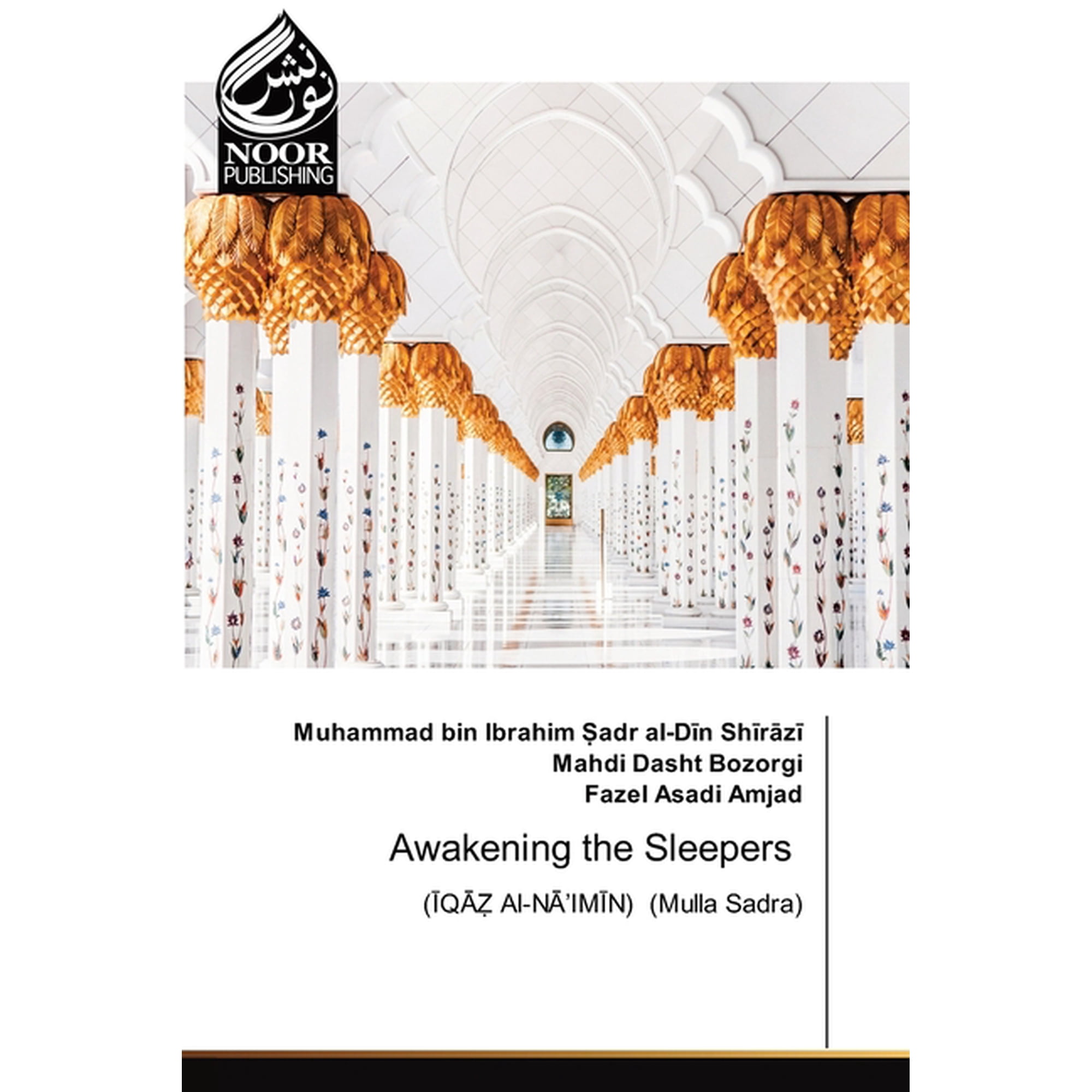 Awakening the Sleepers (Paperback)