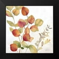 thumbnail image 2 of Coulter, Cynthia 12x12 Black Modern Framed Museum Art Print Titled - Eucalyptus Leaves spice II, 2 of 5