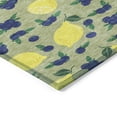 thumbnail image 3 of Addison Rugs Chantille Indoor/Outdoor Transitional Fruits Aloe Machine Washable Rectangle Rug, 10' x 14', 3 of 8