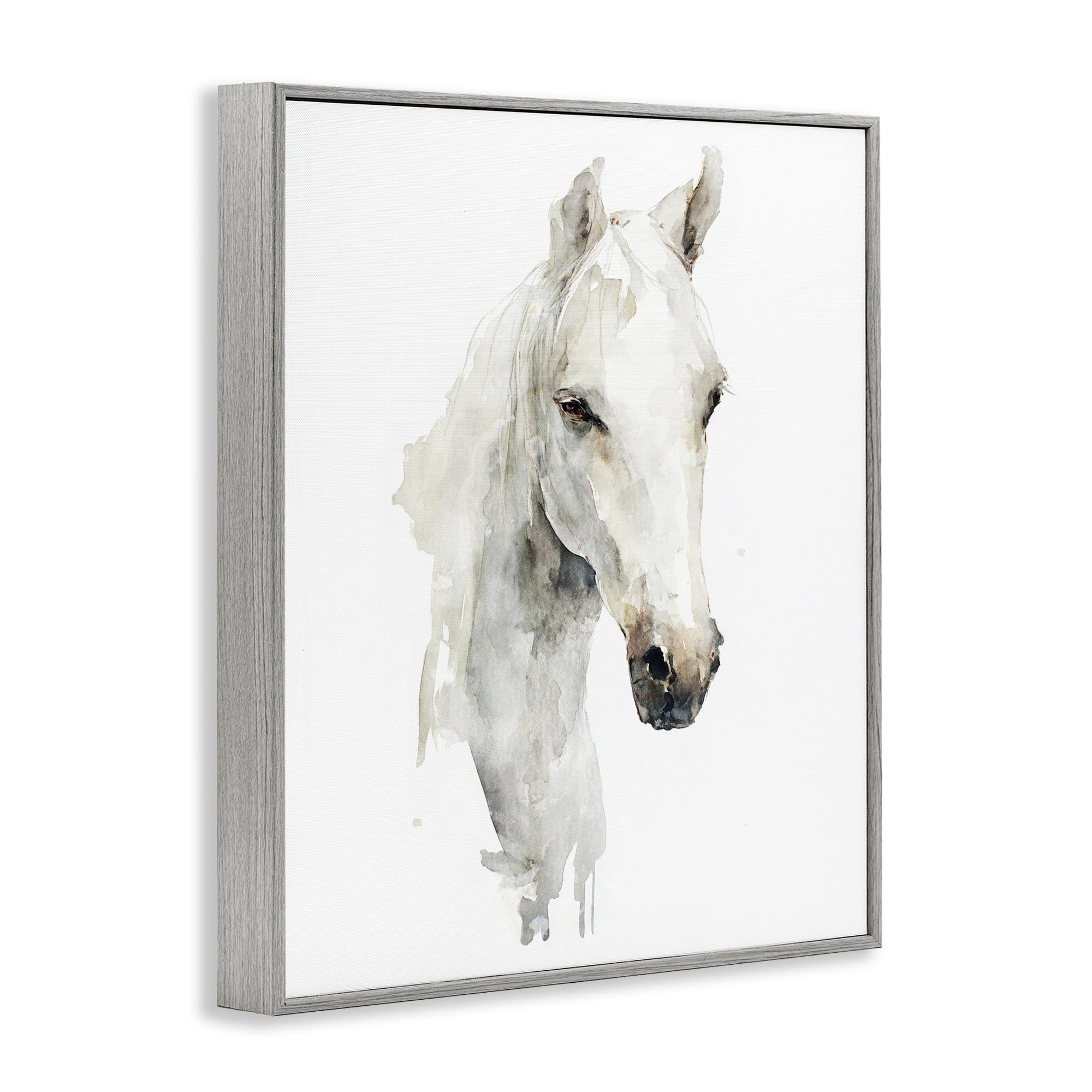 Stupell Industries Soul Of The Prairie Gray Framed Giclee Art, design by Svetlana Aleynikova