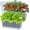 Translucent White, variant on Window Box Planter 6 Packs, 13.8 Inches Rectangle Flower Pots with Drainage Holes & Trays, Pots for Vegetables, Herbs, Flowers, Garden Windowsill Balcony (Translucent White)