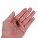 thumbnail image 5 of UPGRATOR 4Ud Resorte Para De Puerta De Microondas Repuesto Universal Material Duradero Negro, 5 of 8