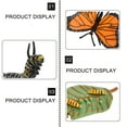 thumbnail image 4 of DPTALR 4 Piece Insect Figure Animal Life Cycle Plastic Brood To Mature Period, 4 of 7