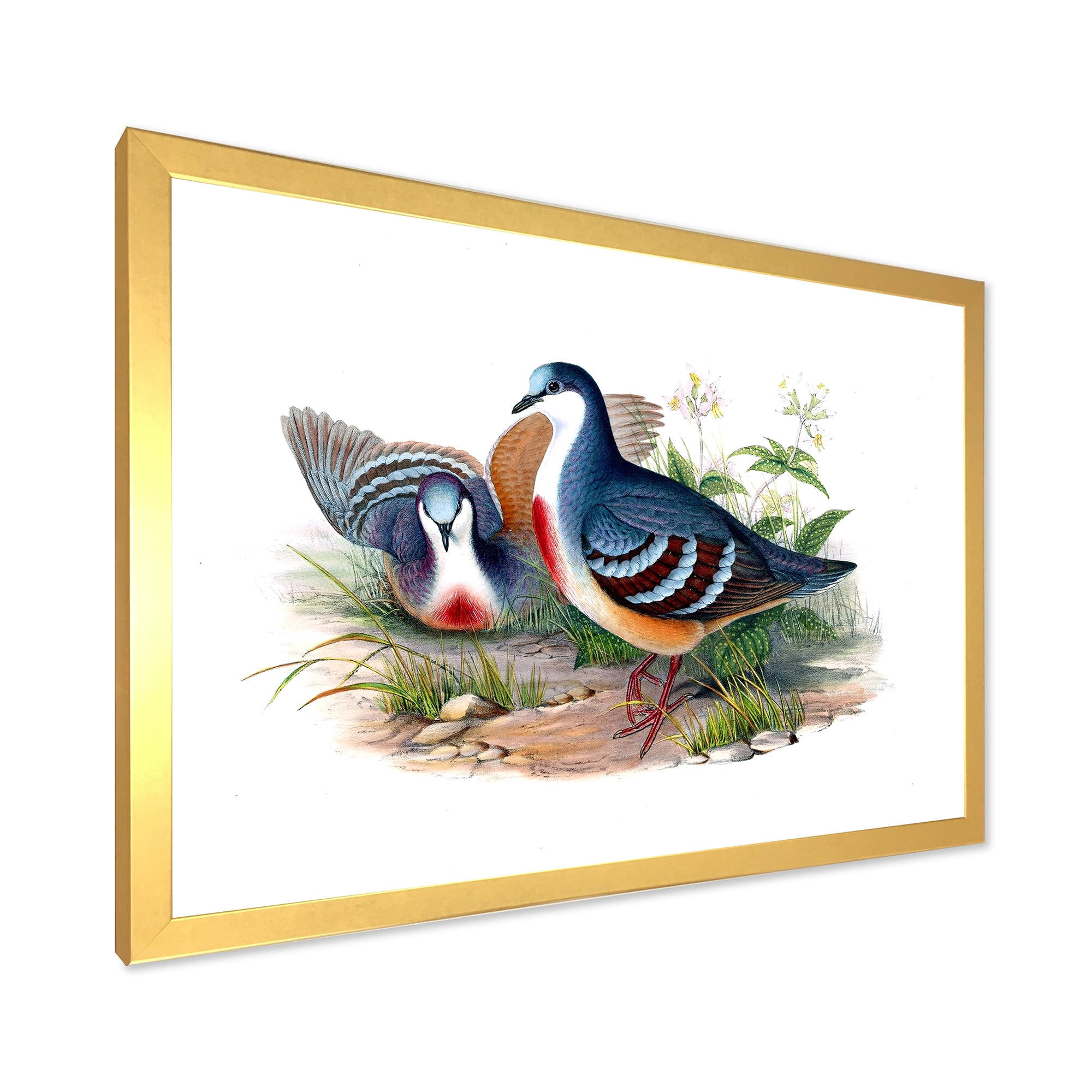 Designart 'Ancient Birds In The Wild IV' Traditional Framed Art Print