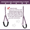 thumbnail image 2 of Set de correas para el ombligo y trabillas para el cuidado del perro FURSDOLY, ajustables, morado, 2 of 8