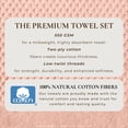 thumbnail image 2 of Great Bay Home Quick Dry Diamond Waffle 6 Piece Towel Set, Pink, 2 of 6