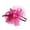 Z3_Hot Pink, variant on Baberdicy Fascinators Hats for Women Clearanceã¯Â¼ÂRibbons Mesh Women Hat And Feathers Fashion Wedding Fascinator N Party Fascinator Hats for Women Hair Clips Hot Pink