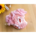 thumbnail image 1 of Pantalones fisiológicos para perros machos, pantalones menstruales de peluche, pantalones para perros, golden retriever, ropa interior de seguridad antiacoso para la menstruación de perras, 1 of 6